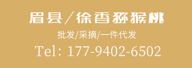 水果