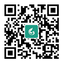 手机浏览