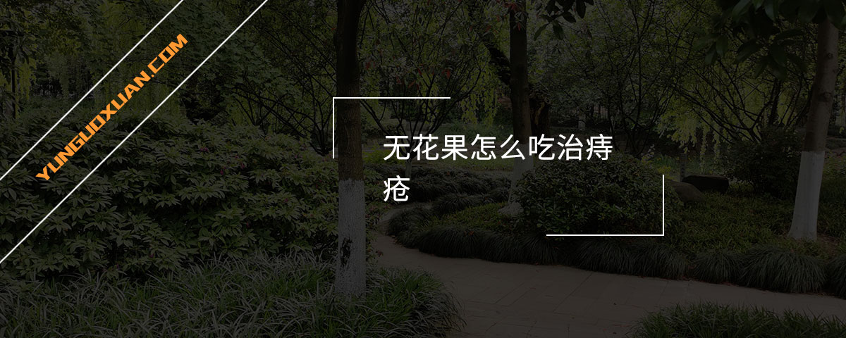 无花果怎么吃治痔疮？