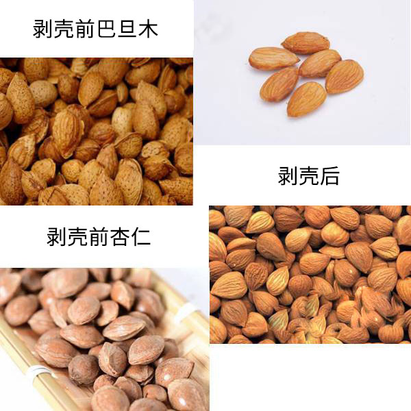 巴旦木与杏仁的区别