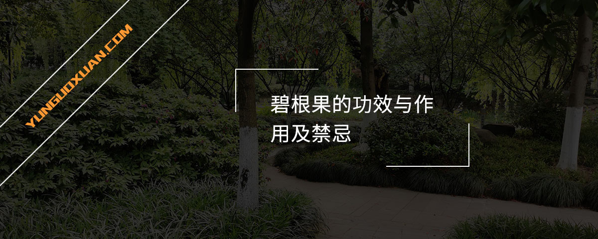 碧根果的功效与作用及禁忌