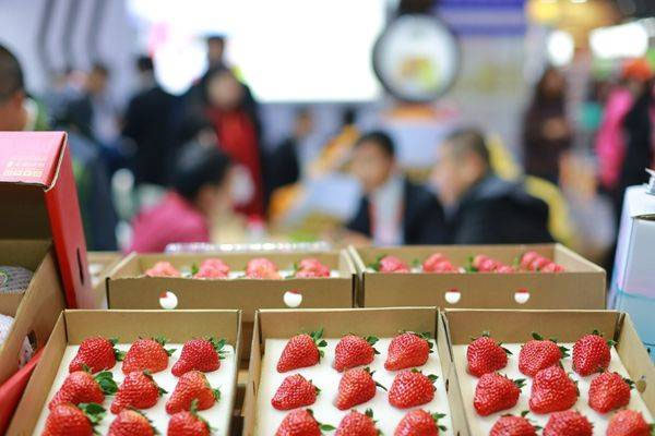 广州国际果蔬展，9月21-23日保利世贸博览馆开幕