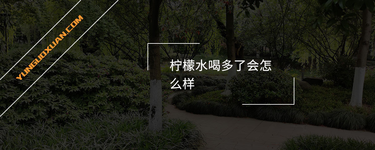 柠檬水喝多了会怎么样？